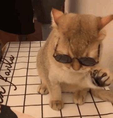 最火流行发型小脸,现在最流行的显脸小发型