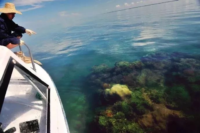 距海南仅20km，这个处女地比台湾风情、比三亚便宜，你错过了吗？