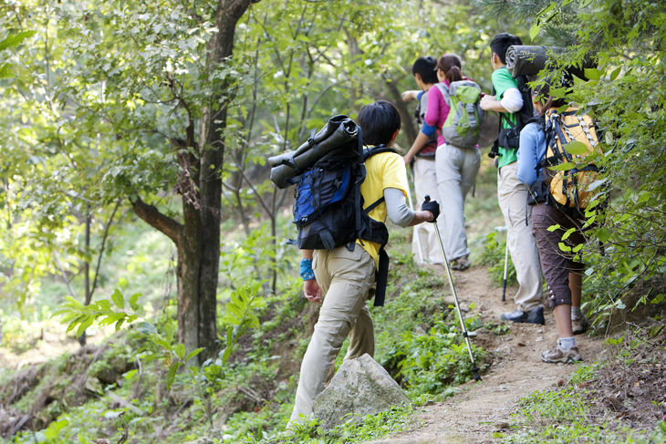 如何把活动写得吸引人,特别吸引眼球的活动方案