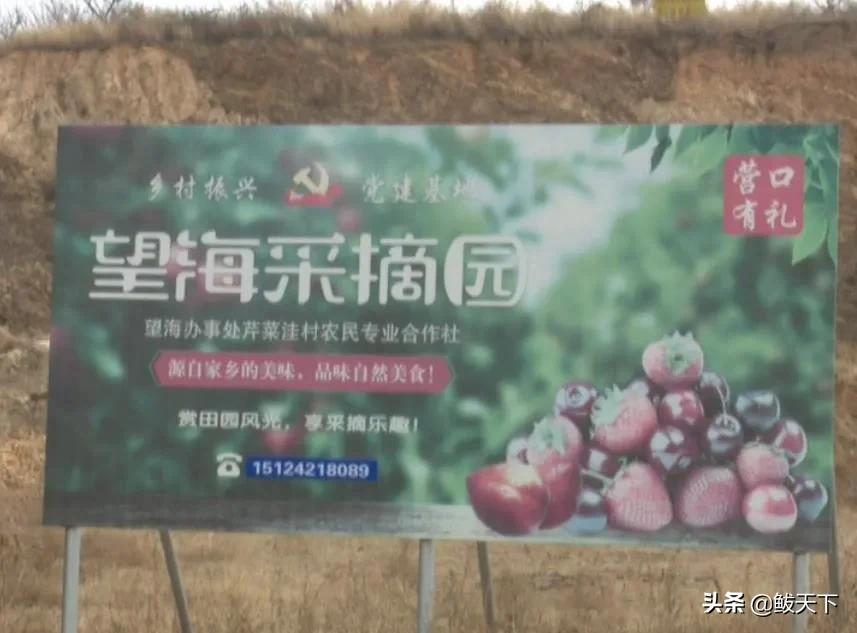 沿滩党员干部奋战一线抗疫保春耕,抗疫与春耕生产党员大会