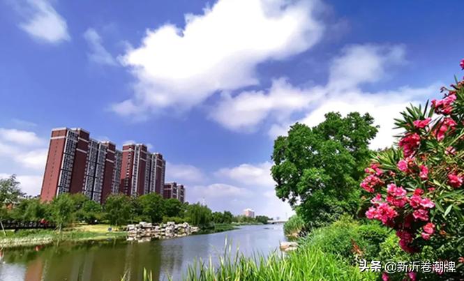 白云飞动蔚蓝天解析,白云飞动蔚蓝天出自哪首诗