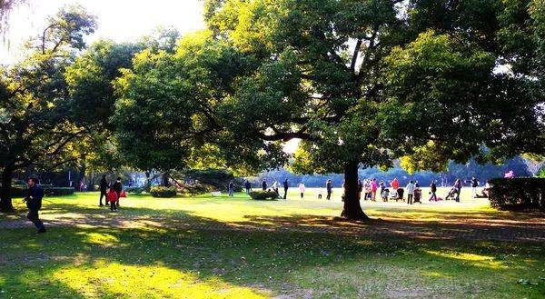 上海旅游攻略必去景点大全,上海玩耍景点推荐