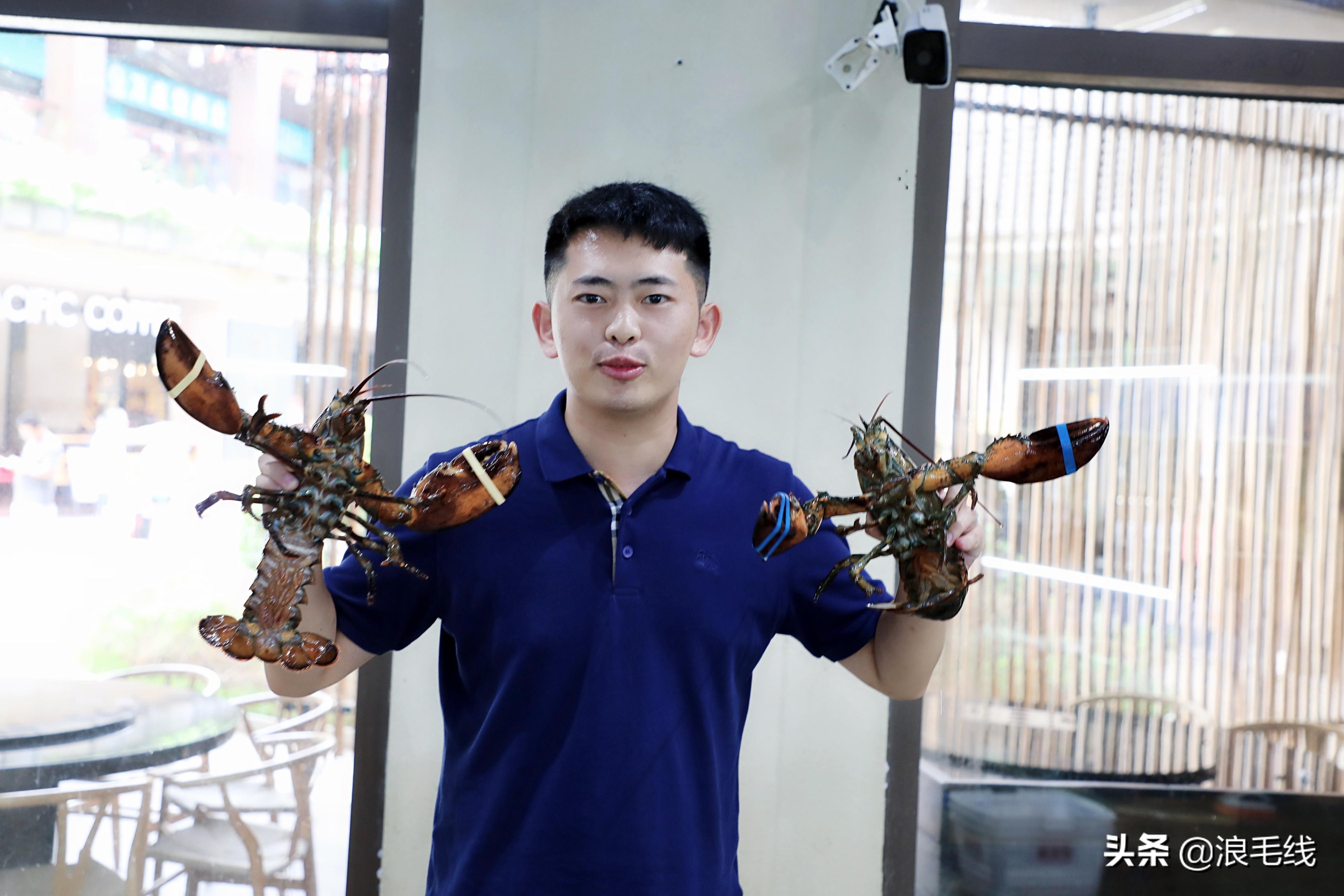 三亚海棠湾自由行热门攻略,那年夏天那片海简介