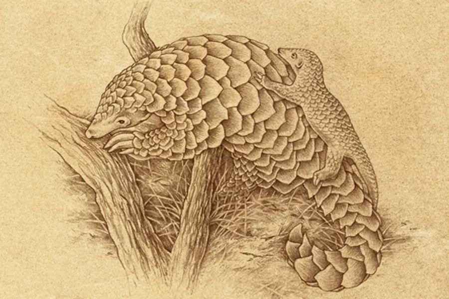 我不是药神真的能救吗,我不是药神穷病救不了台词