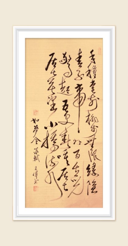 巜以苏轼之名,品味宋代极致美学》——王伟书法之十五