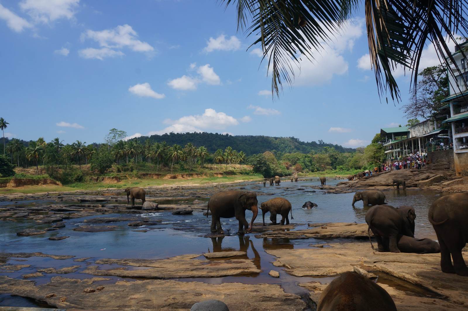 去斯里兰卡旅游必备注意事项,去斯里兰卡旅游需要什么条件