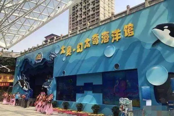 西安三个海洋馆哪个生意好,西安海洋馆推荐哪家