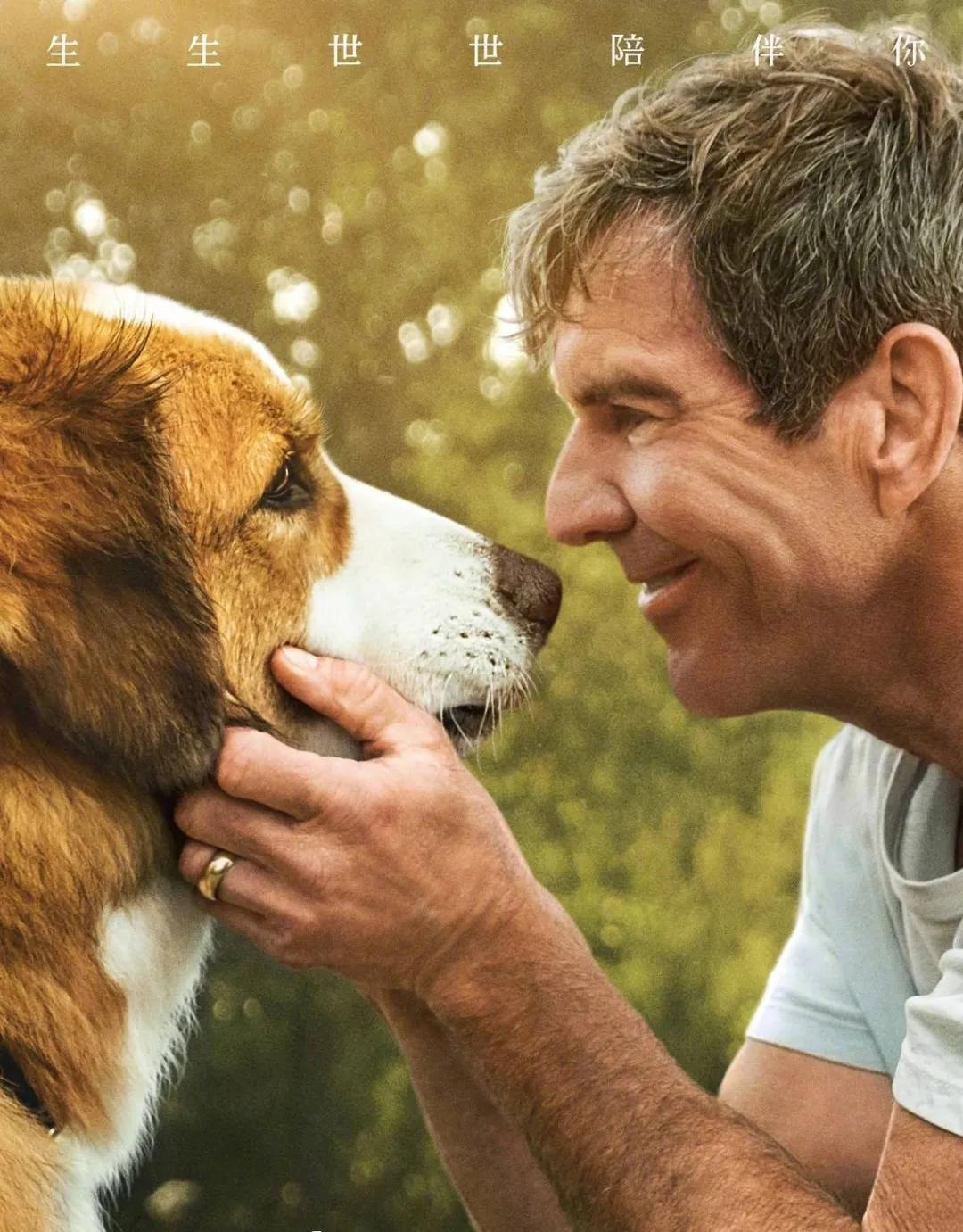 拯救不开心之类电影推荐,十部让人内心平静的电影