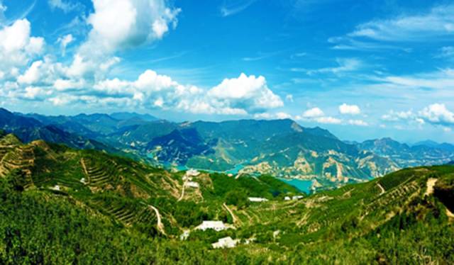 全国十大名茶旅游地,中国十大茶旅