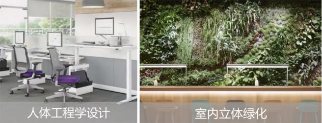 南京一中江北新区分校简介,南京一中江北分校在南京排名