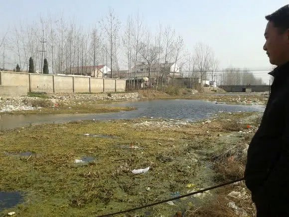 钓到的野生鲫鱼为什么水那么脏,煤油味鲫鱼