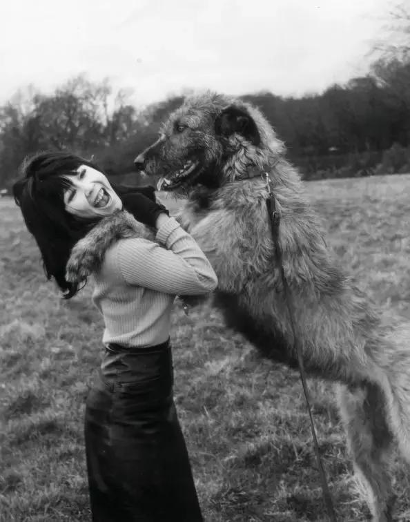 86岁的好莱坞华人教母：我是一只独来独往的豹，不需要结婚