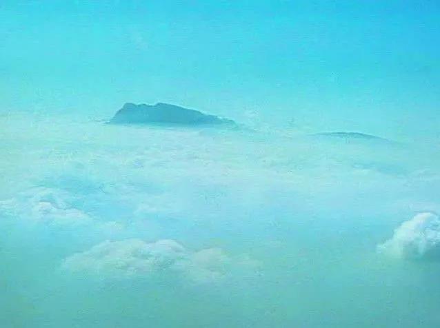 峨眉山有什么灵猴,峨眉山灵猴在哪