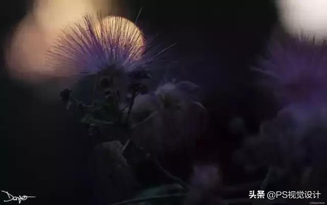 日常照片后期一定要用ps吗,摄影后期修图用ps什么版本