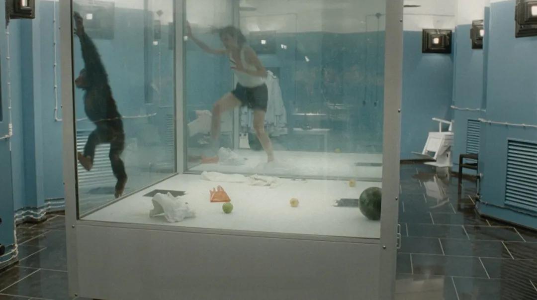 这个震惊世界的电影计划，究竟有多疯狂