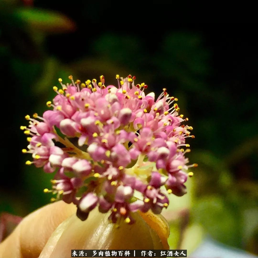 记录走过的美景留下美好的回忆,记录走过的每一段美好时光