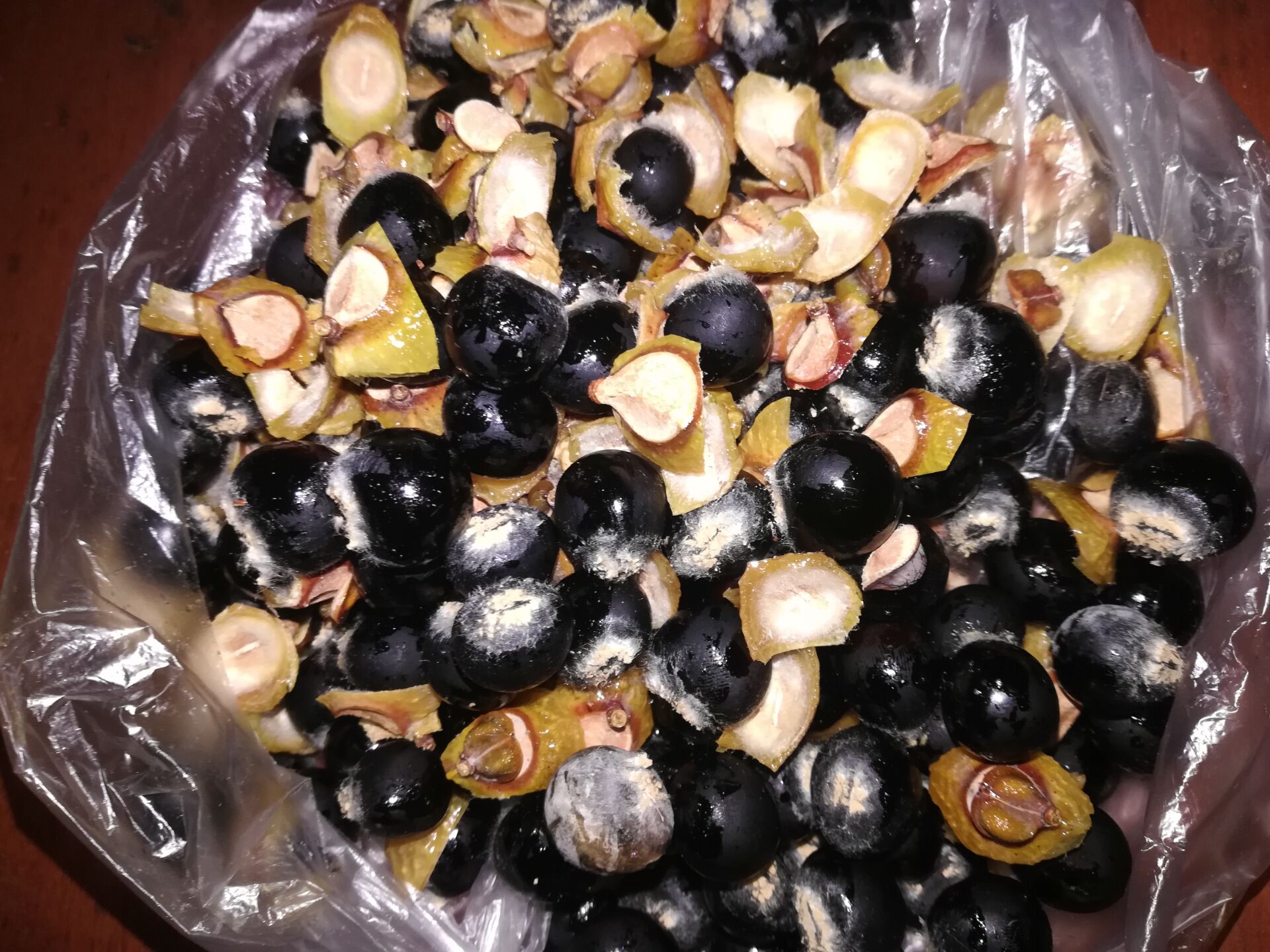 秋实之美无患子，假做桂元真菩提