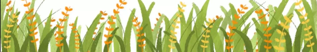 国防科技大学网络工程专业,国防科技大学网络与指挥专业