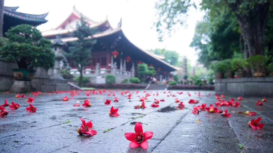 朱复融：一品菩提，百味归鲜一一序《菩提甘露坊斋菜》