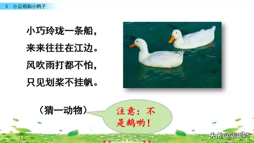 一年级下小公鸡和小鸭子课文重点,小公鸡和小鸭子一年级下册视频