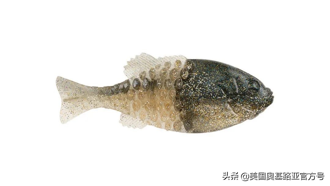 全国渔具展会2021时间表图片,2023国际渔具展会大全一览表