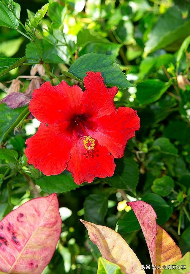 人生格言经典短句励志正能量,正能量人生格言励志短句大全