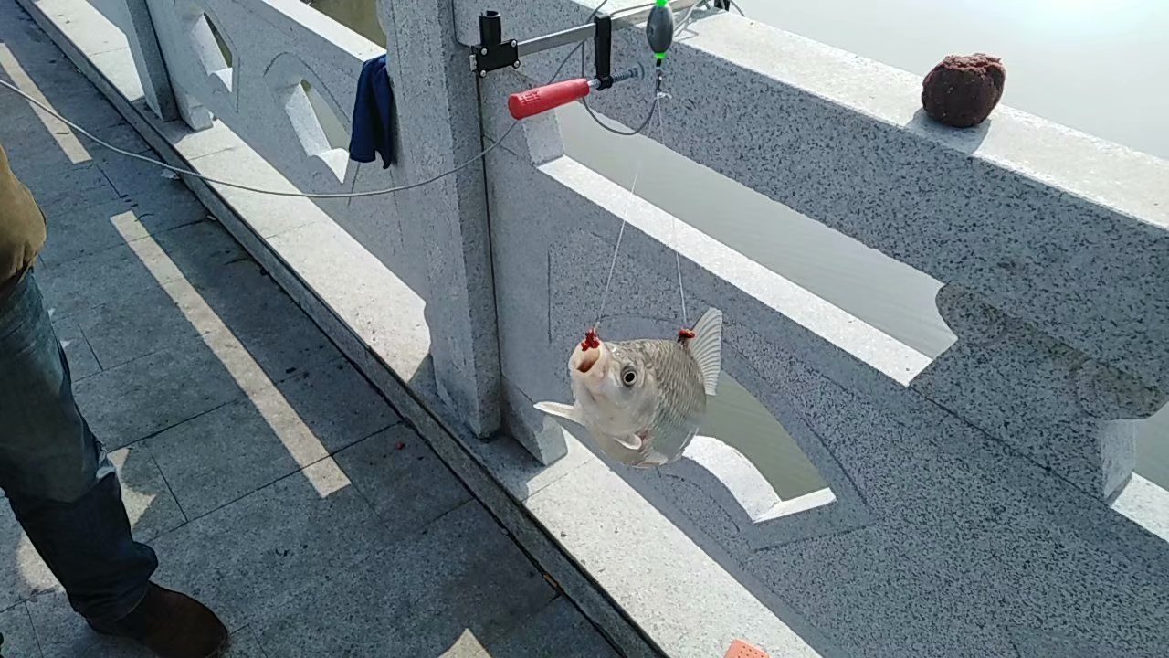 野钓红虫怎么存活,红虫能钓些什么