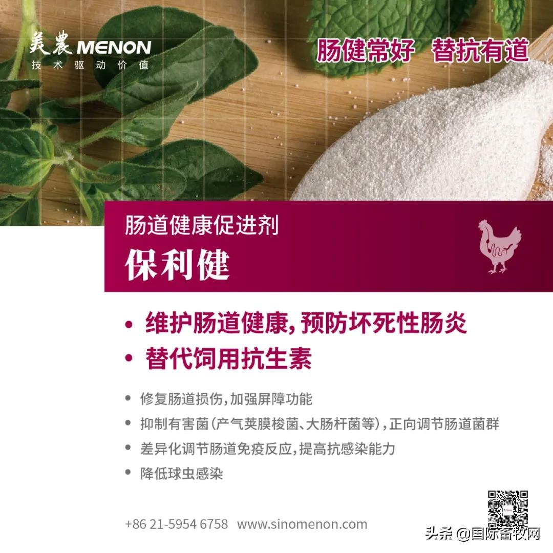 中国养殖5亿只鸡,中国蛋鸡百万以上的养殖基地