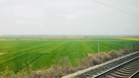 蒲城县好吃的地方推荐晚上,蒲城吃的最多的地方