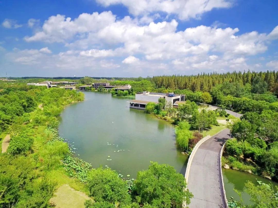 足不出沪的假期,足不出沪游上海