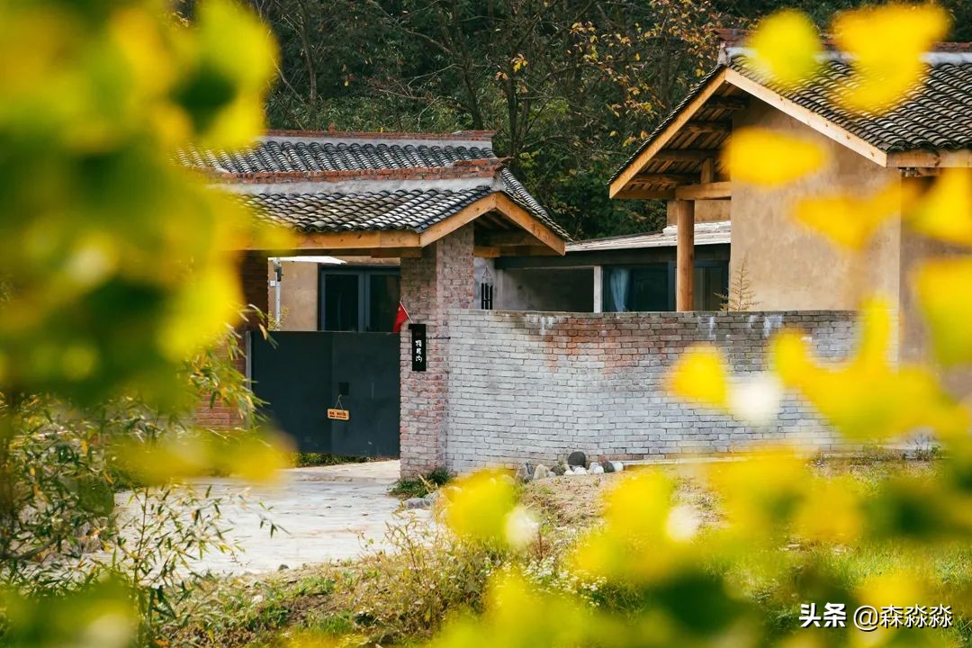 秦岭赏秋怎么玩才好玩呢,大秦岭山旅游攻略