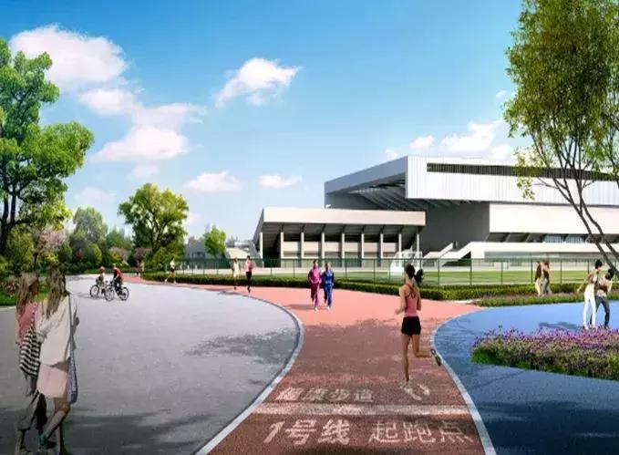 体育馆内的超绝颜值,成都双流体育场