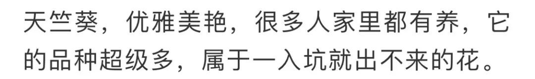 看到花的时候,不知是什么花?那就收下这份百花图谱