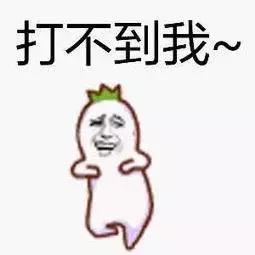 中国路亚竞技比赛,全国路亚大赛