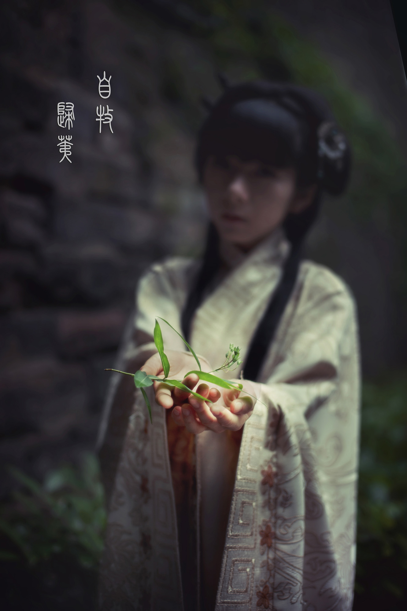 第14篇，尼康相机的标头-2021年元旦快乐