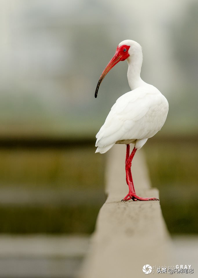 选择曝光快捷键,选择曝光