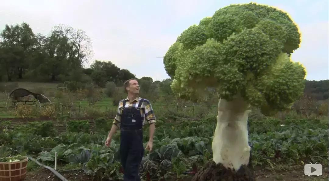 维生素抗癌成功案例,维生素与癌症的视频