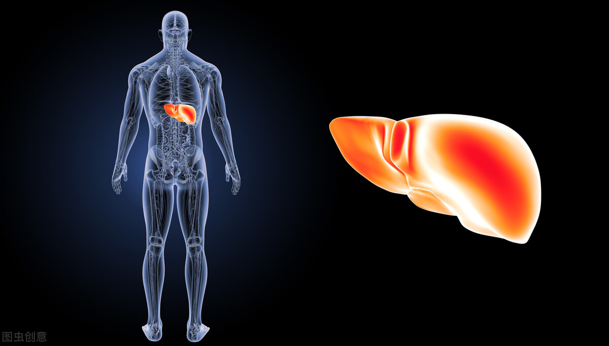 脂肪肝如何快速好,脂肪肝如何快速治愈