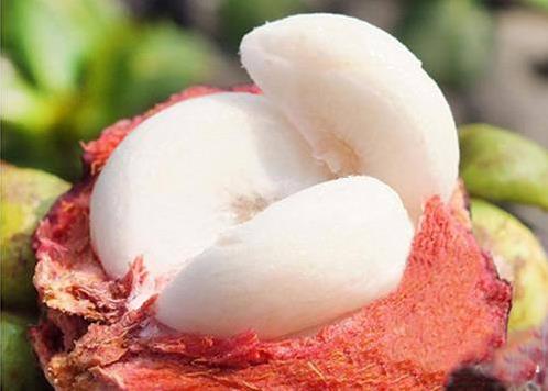 山竹太硬怎么剥山竹,山竹应该怎么剥有什么小妙招