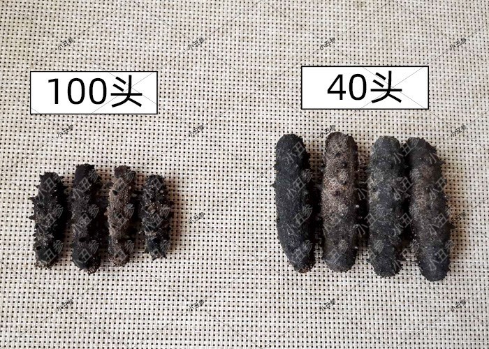 为什么一斤干海参有的多有的少,海参一般多少个头的最好