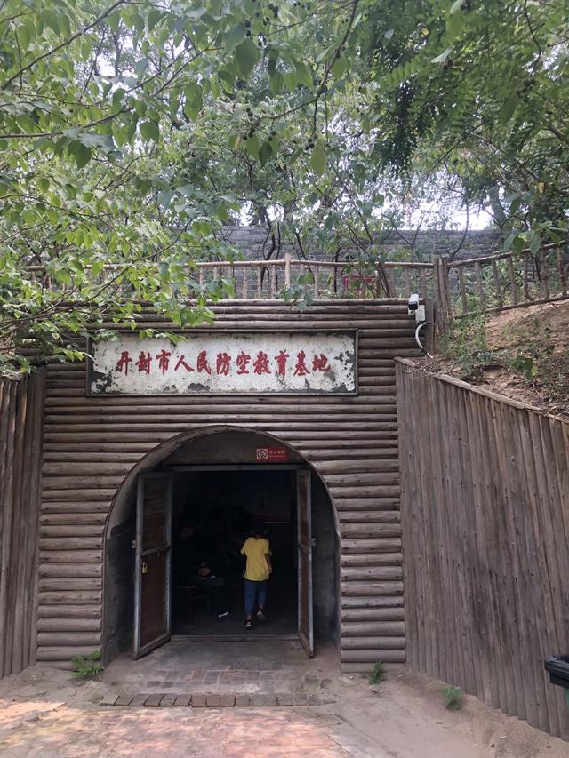 2019新西兰,2019年新西兰