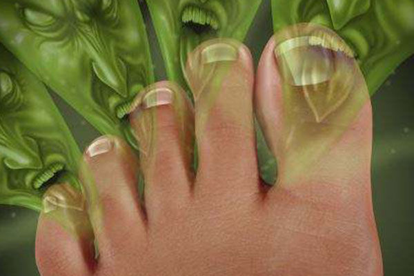 一顿操作猛如虎下一句是什么,一顿操作猛于虎视频完整版