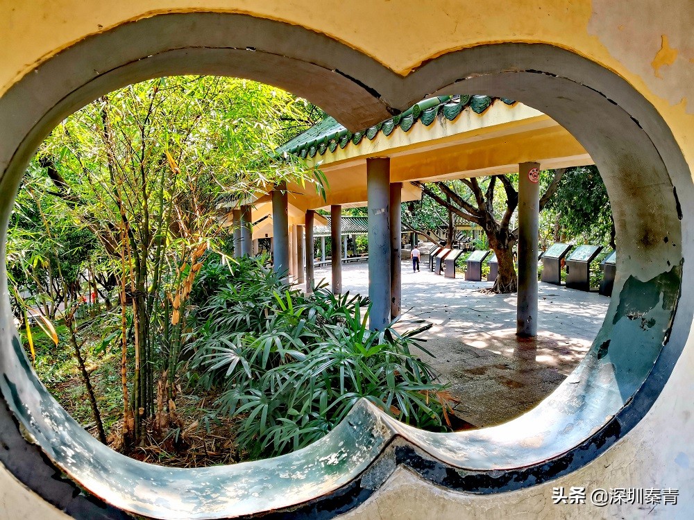 深圳的龙华小公园,广东深圳龙华公园在哪里