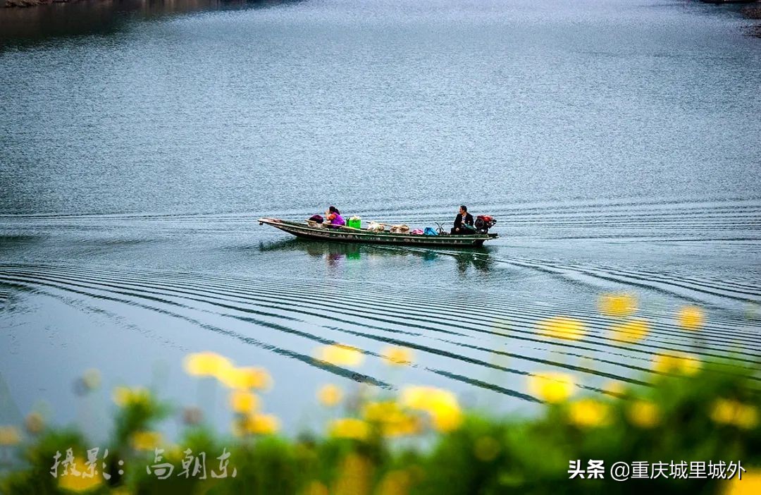 重庆的一个小岛,重庆江心岛是哪里