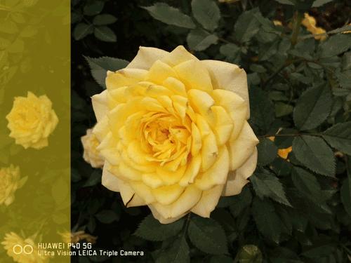 oppo手机必须关掉的几个功能,手机拍照不好看要关闭哪一个功能