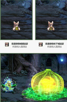 春节宠物和五一宠物,五一宠物和春节宠物