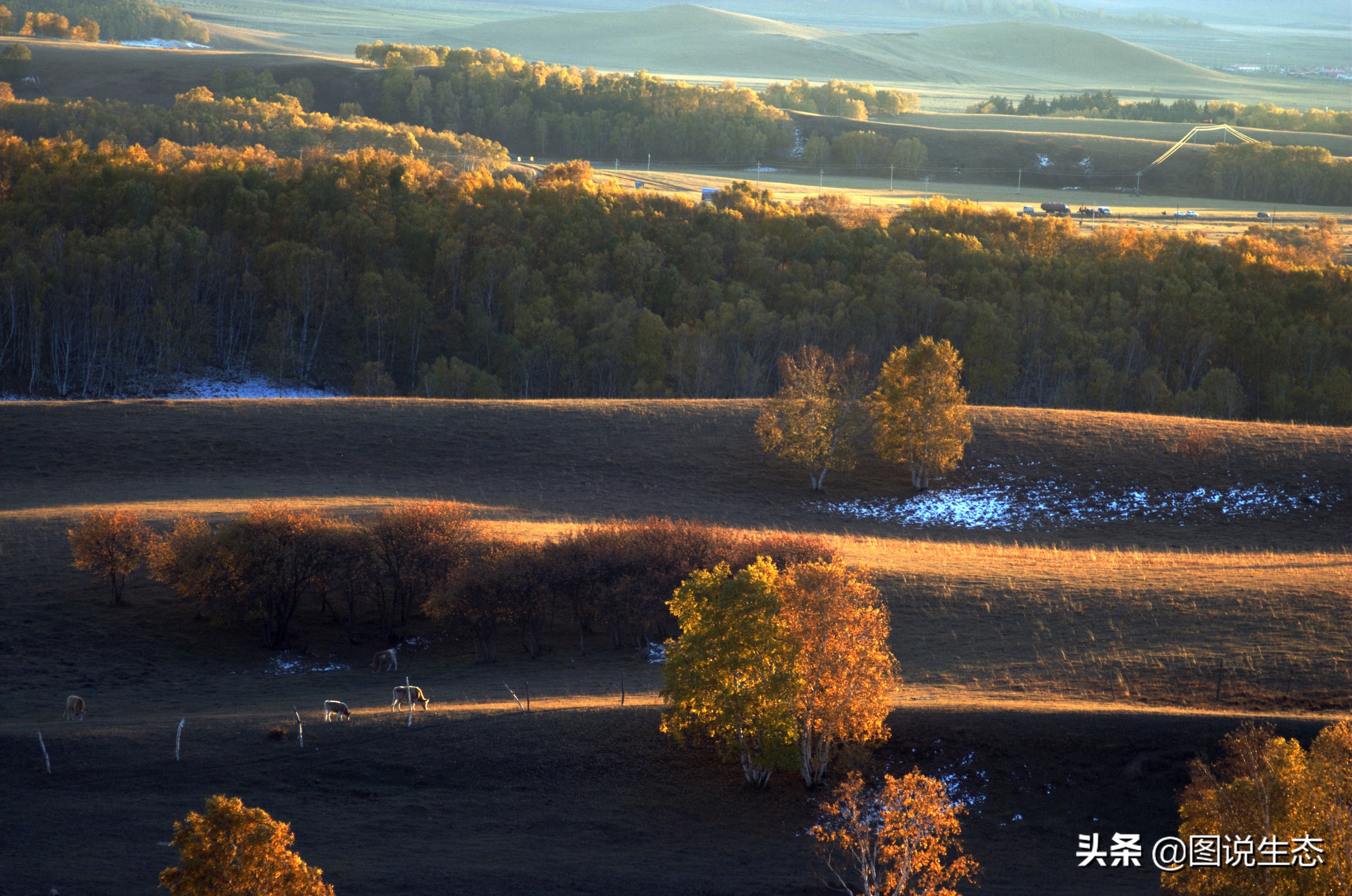 一口气看完塞罕坝全篇,参观塞罕坝有感1000字