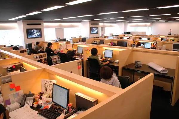 王思聪对比马斯克,骑在马斯克肩上的人