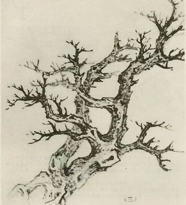 画树教程,怎么画树好看又超级简单