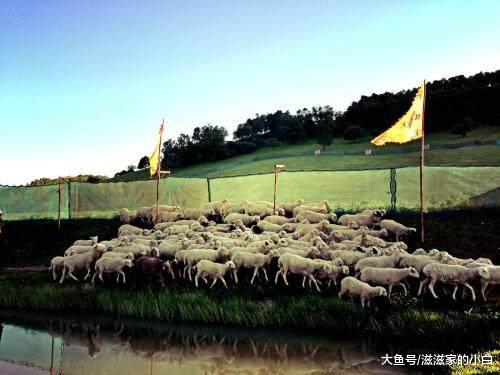 陕西省旅游景点大全关山牧场,西安宝鸡关山牧场旅游攻略